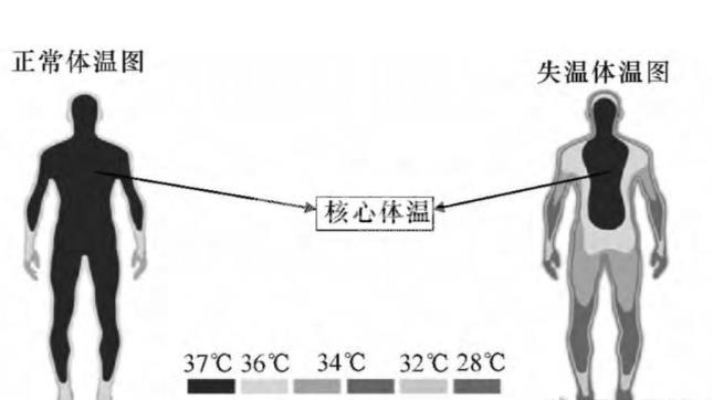 為什么炎炎夏日也會出現(xiàn)“失溫”？“失溫”情況下這些事情千萬別做！